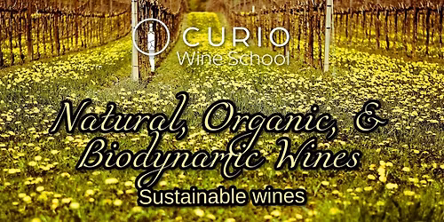 Curio Wine School: Natural, Organic, and Biodynamic Wines
