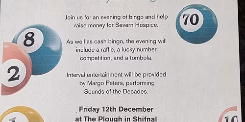 Charity Bingo for Severn Hospice 