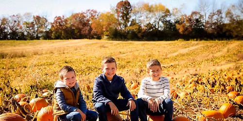 Fall Pumpkin Festival