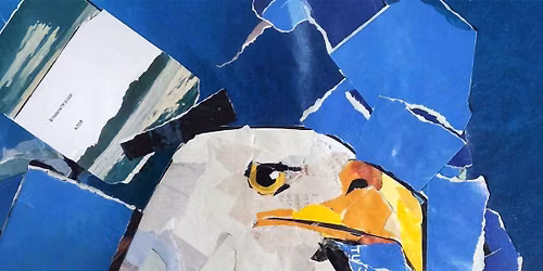 Eagle Collage