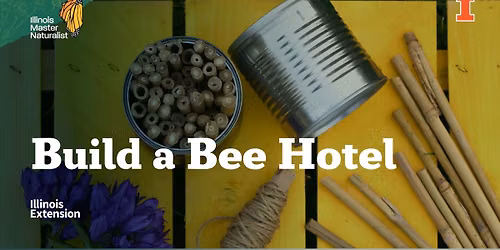 Build a Bee Hotel