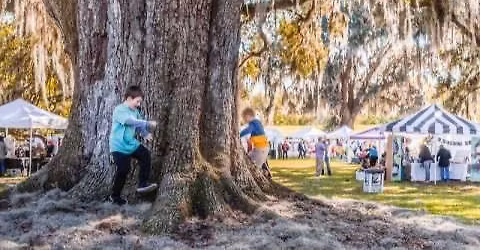 Destrehan Fall Festival