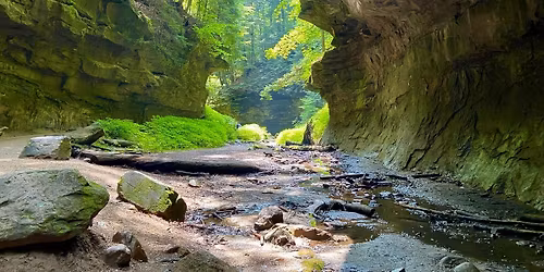 Plant Communities of Indiana