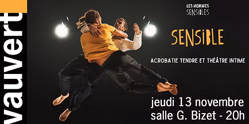Th\u00e9\u00e2tre "Sensible", Les hommes sensibles - Th\u00e9\u00e2tre de N\u00eemes en itin\u00e9rance