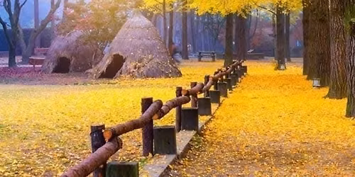KOREA GROUP TOUR
