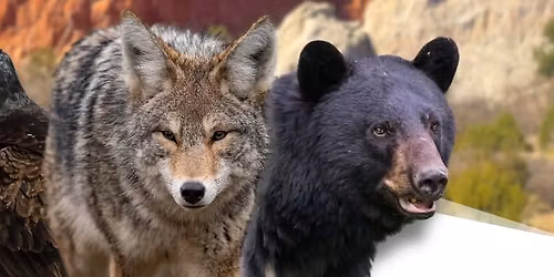 Eco-Eaters: Learn to Hunt Like a Scavenger