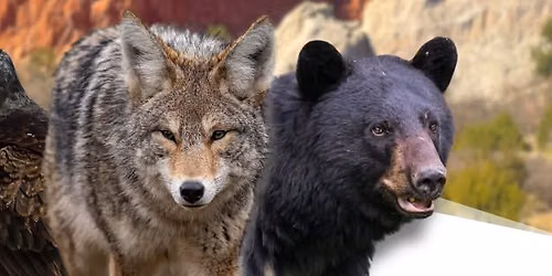 Eco-Eaters: Learn to Hunt Like a Scavenger