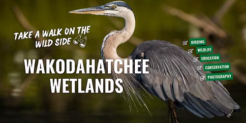 Wakodahatchee Wetlands