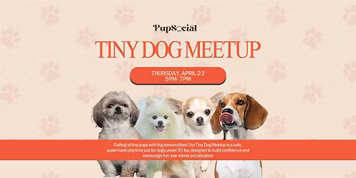 Tiny Dog Meetup