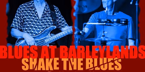 SONIC BLUE-Live at Blues at Barleylands