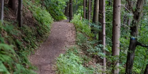 National Hiking Day - Wissahickon - Creeks and Climbs - 7 - 9 miles