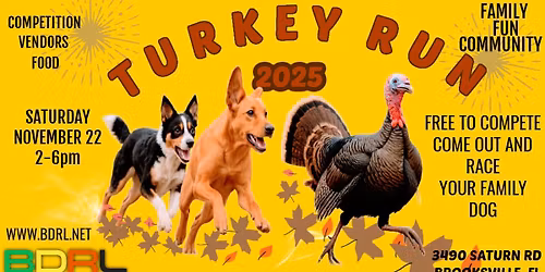 BDRL's TURKEY RUN 2025