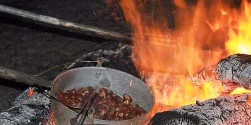 Fim Semana Magusto Celta Pit\u00f5es das J\u00fanias