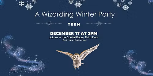 A Teen Wizarding Winter Party