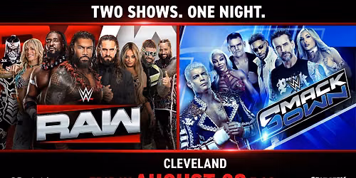 WWE RAW & SMACKDOWN