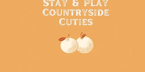 Stay & Play