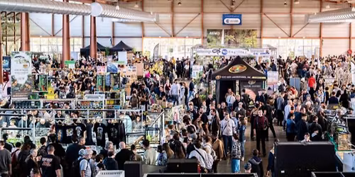 Les Reptiliades 2026 - N\u00eemes