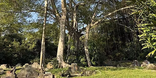 Vanishing Footprints of Bukit Brown: Singapore's Largest Living Museum