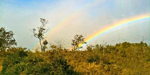 \u5973\u6027\u306e\u30a8\u30f3\u30d1\u30ef\u30e1\u30f3\u30c8\u30c7\u30fc\/\u56fd\u969b\u5973\u6027\u30c7\u30fc