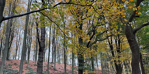 April Bank Holiday Monday Walk Eccup reservoir and Harewood House estate. - 12 miles\/18km - 1400ft\/4