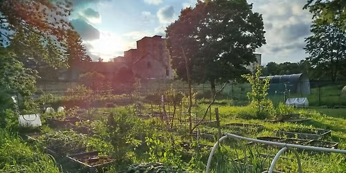 Dny dobrovolnictv\u00ed na komunitn\u00ed zahrad\u011b 