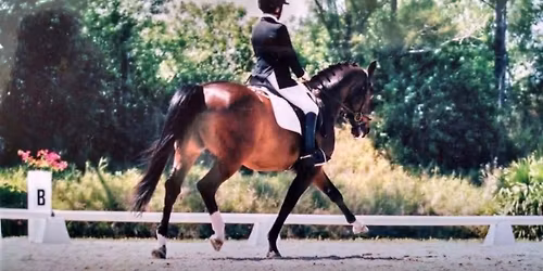 Katherine Michels Dressage Clinic 