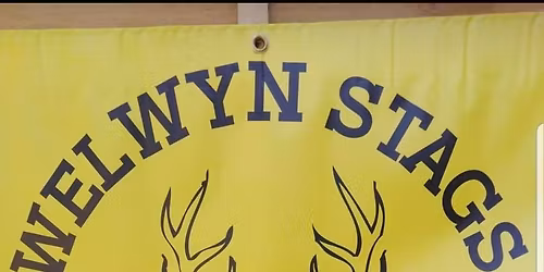 Welwyn stags Xmas bash