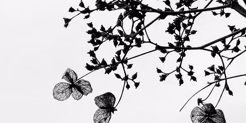 An Autumn Day of Mindful Photography & Bookbinding