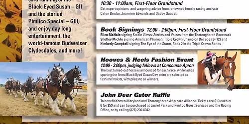 Black Eyed Susan Stakes at Laurel Park