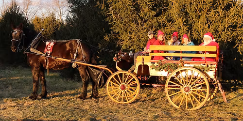 Christmas Open House