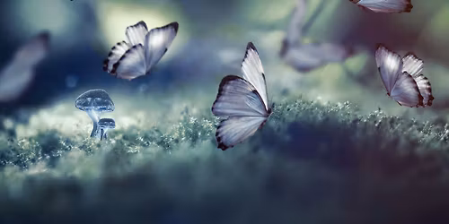 Embracing Change and Finding Purpose - half day course