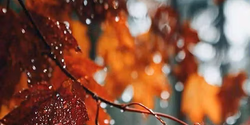 \u0393\u03b7 Yoga Retreat \u03c3\u03c4\u03b1 \u039a\u03b1\u03bb\u03ac\u03b2\u03c1\u03c5\u03c4\u03b1_Cherryland