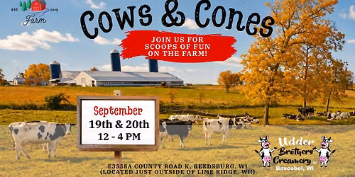 Cows & Cones