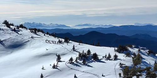 \u0412\u0440\u044a\u0445 \u041e\u0440\u0444\u0435\u0439 \u0438 \u0432\u0440\u044a\u0445 \u041a\u0443\u0437\u0443 \u044f\u0442\u0430\u043a - \u0437\u0438\u043c\u043d\u0430 \u043f\u0440\u0438\u043a\u0430\u0437\u043a\u0430 \u0432 \u0420\u043e\u0434\u043e\u043f\u0438\u0442\u0435