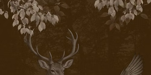 Hunt & Harvest