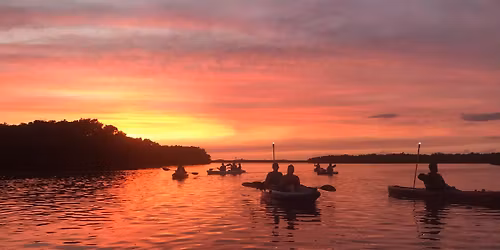 Shell Key Sunset Kayak Tour | St Pete