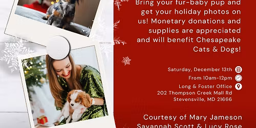 Holiday Pup Photo Shoot! 