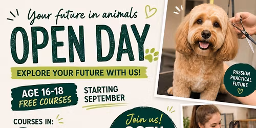 Open day