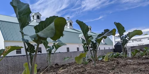 Soil, Seeds, & Sprouts