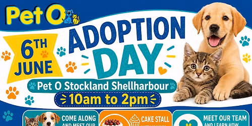 Adoption Day