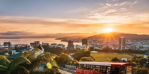 Solo travellers: casual hangout in Wellington (4pm)