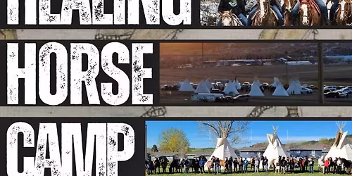 Healing Horse Camp