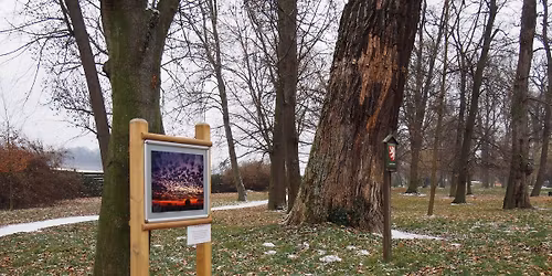 Open-air v\u00fdstava v parku