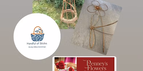 Willow weaving plant support\/flower\/dragonfly workshop