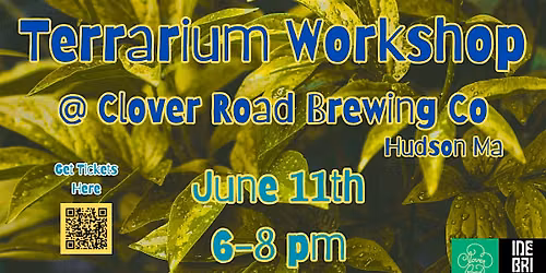 Terrarium Workshop at Clover Road Brewing Hudson