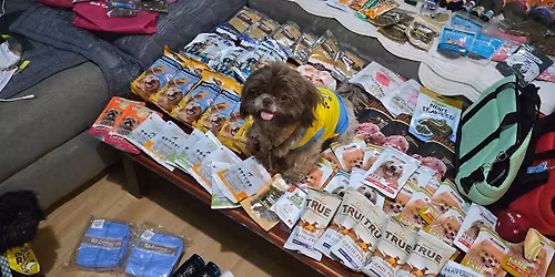 International Pet Summit 2026