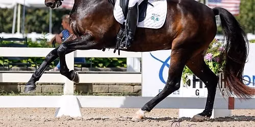 Olympian Michelle Gibson Dressage Clinic