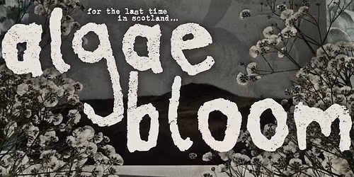Algae Bloom