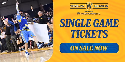 Santa Cruz Warriors at Texas Legends at Comerica Center