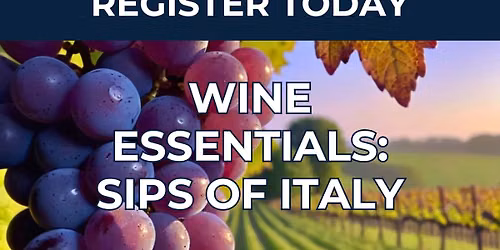 Wine Essentials: Sips of Italy